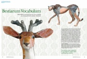 Bestiarum Vocabulum, Ceramic Review
