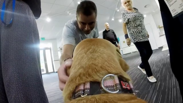 Hospice dog cam, Volunteers' Day