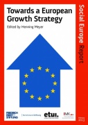 Towards a European Growth Strategy, Report