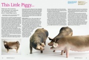 This Little Piggy, Ceramic Review